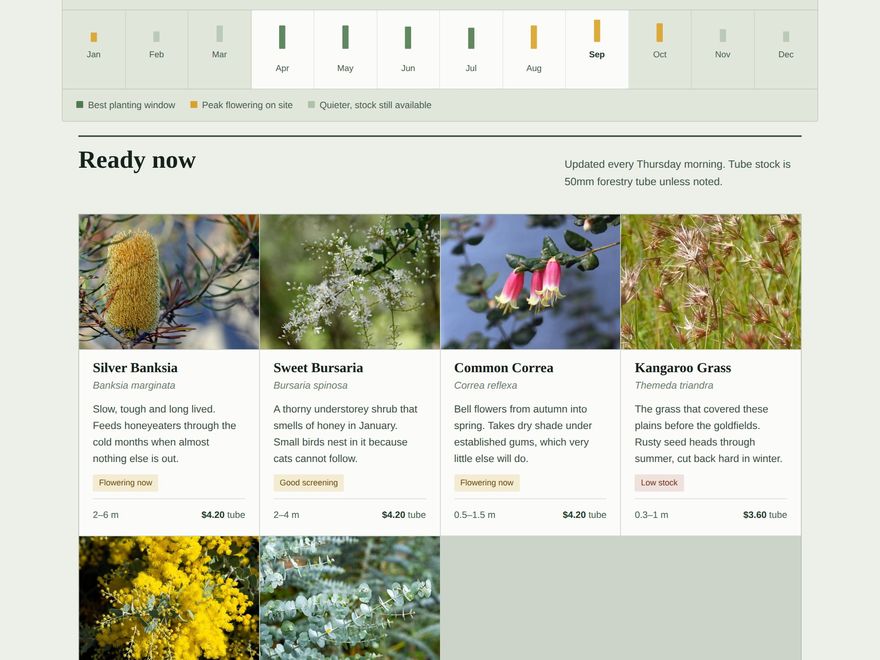 The nursery site showing a seasonal availability strip and a grid of plant cards with photographs